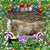 Marianne Zariczny's profile image