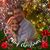 Kimberlee Thornton's profile image