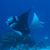 Greg Luken's profile image