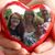 Lisa Iddings's profile image