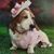 Kelly Myers Licciardi's profile image