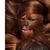 Oliver's Portrait Shoppe's profile image