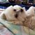 Lenore Bailey's profile image