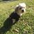 Debbie Herrera Klotzbach's profile image