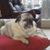 Larry Westmoreland's profile image