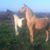Kathy Peterson-Herbst's profile image