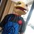 Wilbert Rousey's profile image