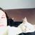 Erin Sayer's profile image