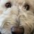 Jennifer Prindle's profile image