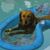 Doug Glazer's profile image