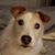 Jean Erb Formby's profile image