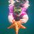 Stephany Hillman's profile image