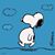 Scott Biegel's profile image