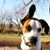 Betsy Keplinger's profile image