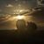 Tracie Moran's profile image