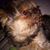 Jeanne Gandolfo's profile image
