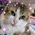 Linda Jones's profile image