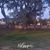 Jenn Yonunya's profile image