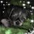 Debbie MacPherson Bazier's profile image