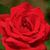 Er Ha's profile image