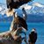Judy Reeves's profile image