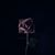 Vickie Sandy's profile image