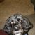 Cathy Gibson's profile image