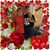 Pat Ellis's profile image