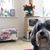 Jackie Munnings's profile image