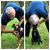 Brian Campana's profile image