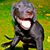 Mike George's profile image