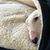 Andrea Hartwig's profile image