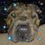Jennifer Miller Rodenbach's profile image