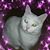 Beth Caldwell's profile image