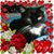 Judy Roberts Purvis's profile image