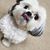 Judi Shelton's profile image
