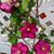 Patti Thielen Page's profile image