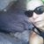 Denise Pulver's profile image