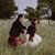 Bernadette M Mackinnon's profile image
