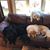 Susan Poppy- Shaffer's profile image