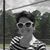 Allison Justus's profile image