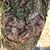 Lisa Brooks Cooper's profile image