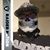 Danny Oestreicher's profile image