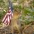Cheryl Drager Goodwin's profile image