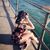 Rachel Rayne's profile image