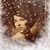 Karla R. Roberts's profile image