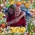 Carmi Stafford Eichhorn's profile image