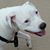 Aaron Harris-Gearing's profile image