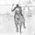 Ignacio Guarneros's profile image
