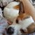 Stacy Altland's profile image